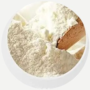 Leche en polvo